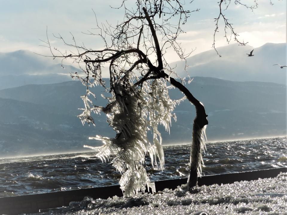 Λίμνη Παμβώτιδα - Παγωμένη Φύση