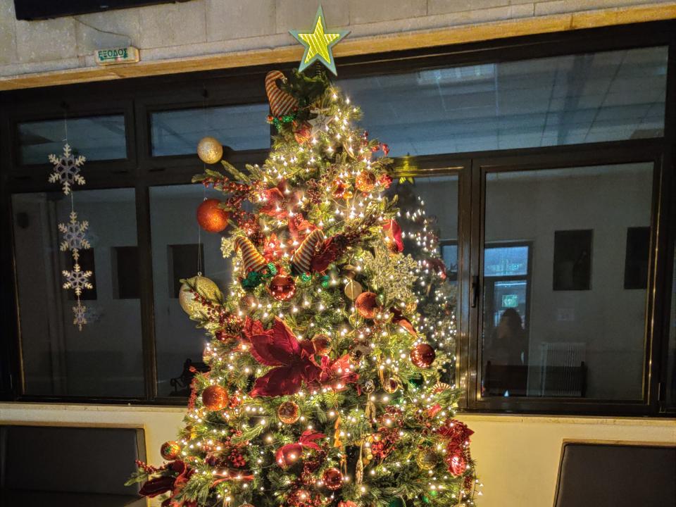 Χριστουγεννιάτικο Δέντρο Δικαστικού Μεγάρου Ιωαννίνων